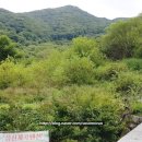 상신계곡펜션 이미지