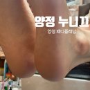 양지-3301 이미지