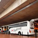 (주)아이넷크루즈온 | 12월 시드니 신혼여행 3일차 (리얼트립 버스 투어 | 돌핀크루즈)