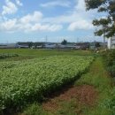 춘포면-09 이미지