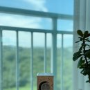 건스디자인 | [공지] “싱가포르 신혼여행에서 만난 인생향기💙 펜할리곤스 루나 향수 솔직 후기