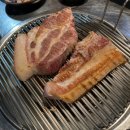 한라도니 이미지