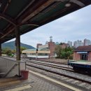 국수나무효천점 | 2024. 10. 14 - 20 내일로 전국일주