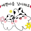 대진대학교 교육대학원 이미지