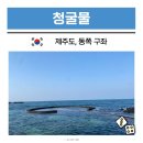 새미목욕탕 | 제주도 5월 동쪽 가볼만한곳 김녕 청굴물 주차