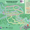 [제주도 태교여행] 중문 박물관은 살아있다, 서귀포 치유의 숲 방문 후기