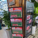 고기쟁이정육점 | 원주 대형정육점 meat shop 고기쟁이 내돈내산후기 특가행사