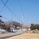 (주)코리아세븐 양평미소점 | 미즈노 파크골프채 가격 및 용품 종류 정보 공유