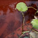 노원문화원 이미지