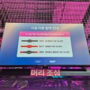 역삼 캘리클럽 주차 롤클럽 솔직후기
