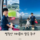 (주)로아코스 | [강원도 평창] "발왕산 케이블카 스카이워크" 평창 여행 아이와 가볼만한 곳 여행코스 추천