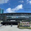 비엔씨약국 이미지