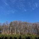 세븐일레븐 광릉수목원점 이미지