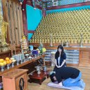 부모님과 함께 다녀온 여주 대성사 – 정성스럽게 모신 기제사 후기