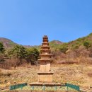 상오리 칠층석탑 | [경북 상주] 상오리 칠층석탑