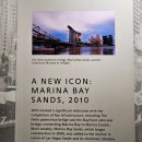 스카이파크 | 싱가포르 야경 명소 샌즈 스카이파크 구경 후기