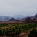 대곶초등학교 이미지