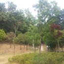 동천당