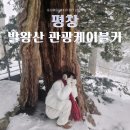 명산프라자 앞 | 평창 발왕산케이블카 할인 시간 실시간 CCTV 확인방법 겨울 방문후기