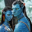 비로소 가을 이미지