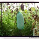 샘밭농장 이미지