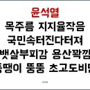 ⁉️그래서 준방 깃발 진짜 제작했어❓내일 시위하면서 주변에 플랜카드 무나해??????? 이미지