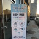 폴인독 이미지