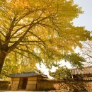 장현1리 이미지