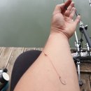 팔미리낚시터 이미지