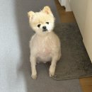 성산환경(주) | 4월 셋째주 일상 예쁘고 좋은 것만 보고 살아요~