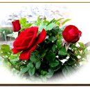 은하초등학교 이미지