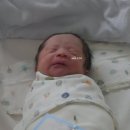 산양키우는 가 | 신생아수유텀 시간 맞춰 앱솔루트 산양분유 100일 신생아분유추천