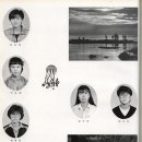 대진고등학교 이미지