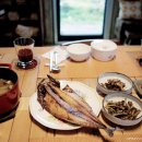 하도조아 이미지