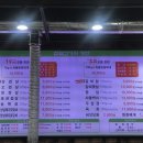 탐나정육