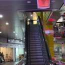 골든트리 타로 사주 | 광주 하남ㅣ타로로 알아본 2026년 신년운세, 꼼꼼히 받고 온 후기ㅣ"타로엔딩"