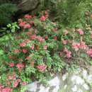 서당공원 화장실 이미지