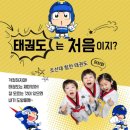 조선대힘찬태권도 네이버블로그