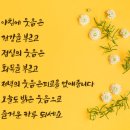 황제능이버섯백숙 이미지