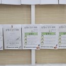 수명초등학교 이미지