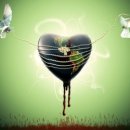 바람결 작은집 이미지