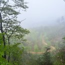 도장골천 이미지