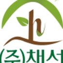 주식회사 채선