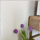 헤어공간 이미지