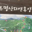 은미용소 | 경기가평 찐~등산초보의 9월 유명산 등산 후기