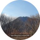 영인산산림박물관 | [아이들과 아산] 영인산 산림 박물관 탐방 1부