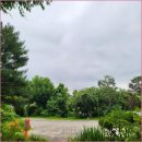 천만애능이백숙 이미지