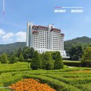 한땀한땀 프랑스 자수 / 강좌번호 15 | 평창 켄싱턴 호텔 수영장 조식 가든