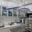 항동푸른숲동물병원 이미지