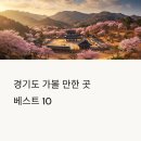 효심공원 | 경기도 가볼 만한 곳 베스트 10 서울 근교 힐링 여행지 총정리